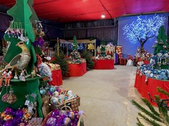 Beautiful Decorations, Lights, Gifts & Goodies